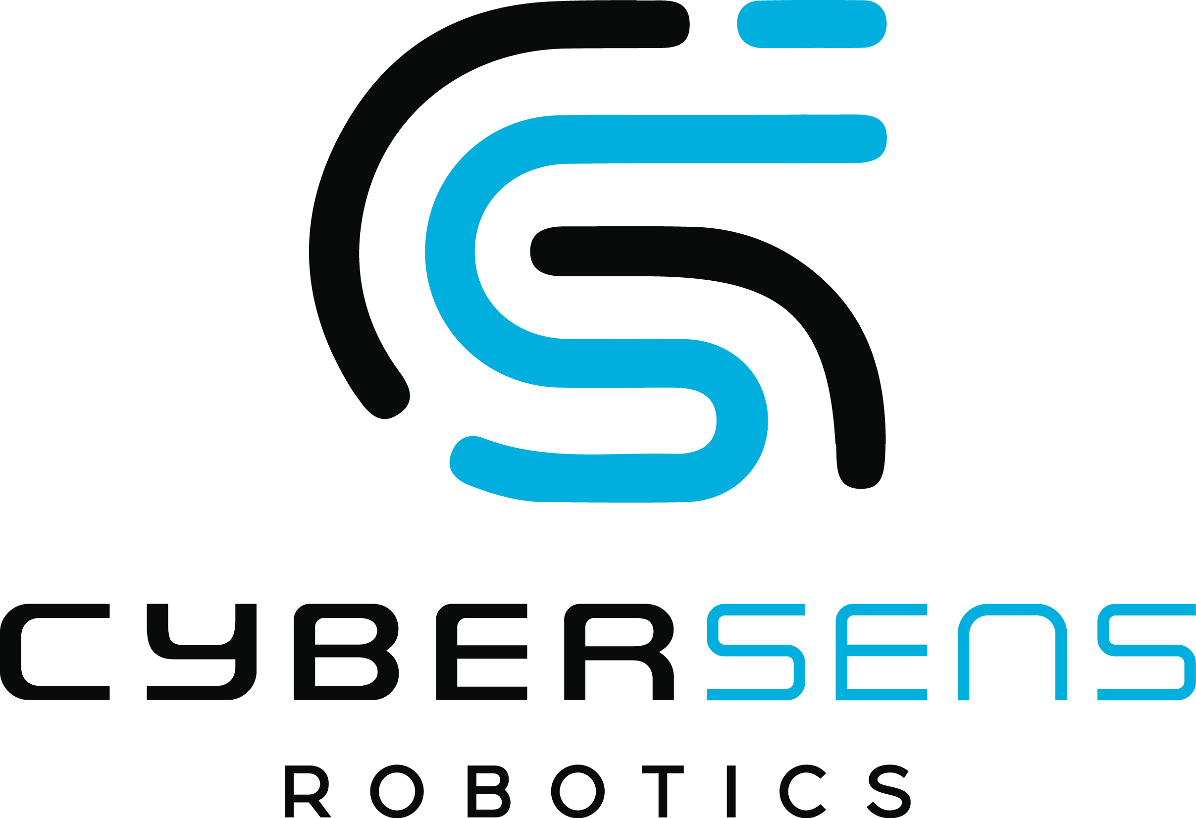 Cyber Sans Robotics